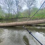 Log Jam on the North Fork of Salt Creek