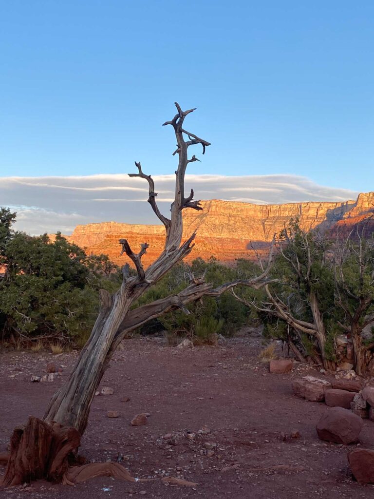 Grand Canyon Horseshoe Mesa