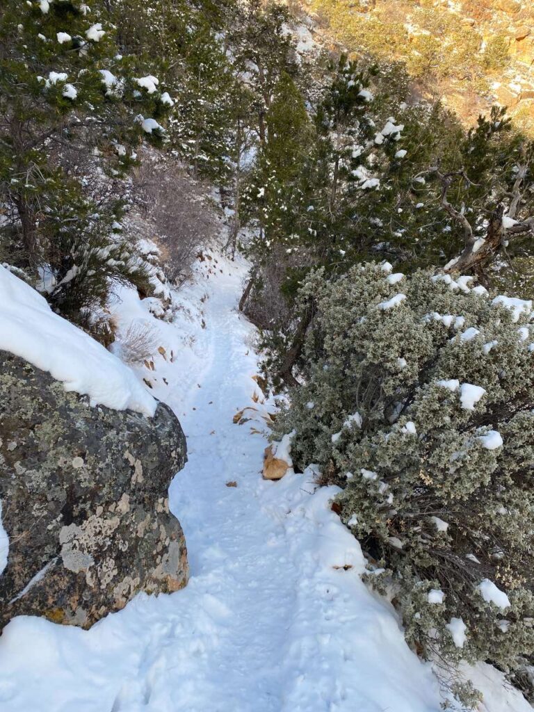 Grand Canyon Tanner Trail