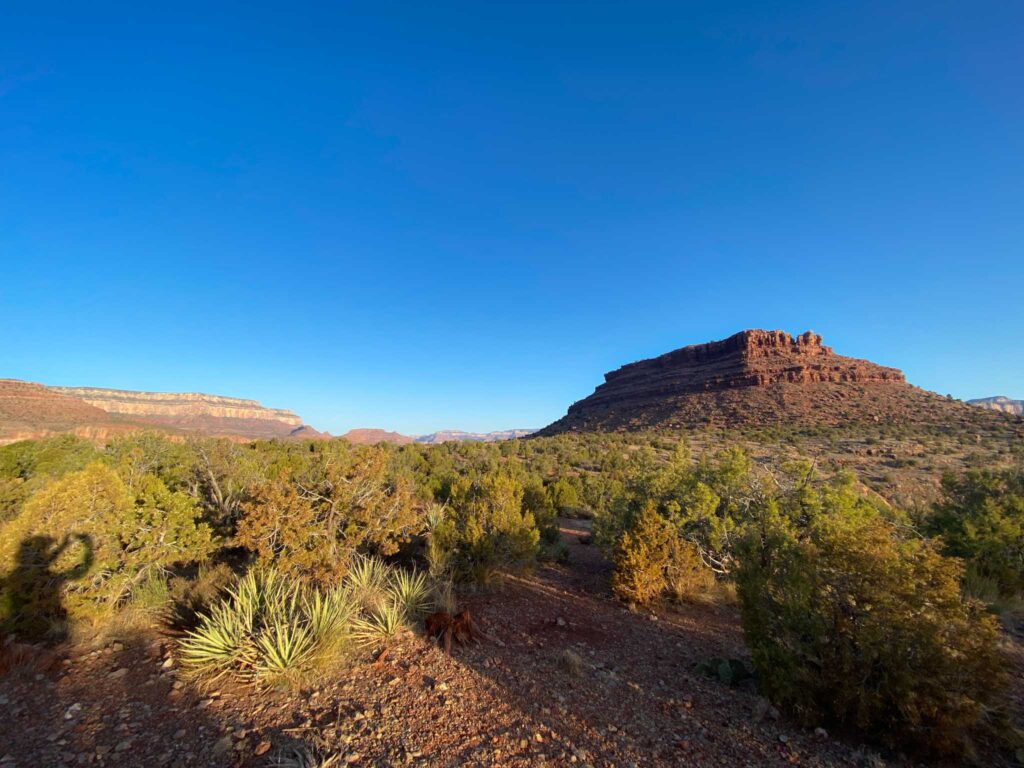 Grand Canyon Grandview Trail