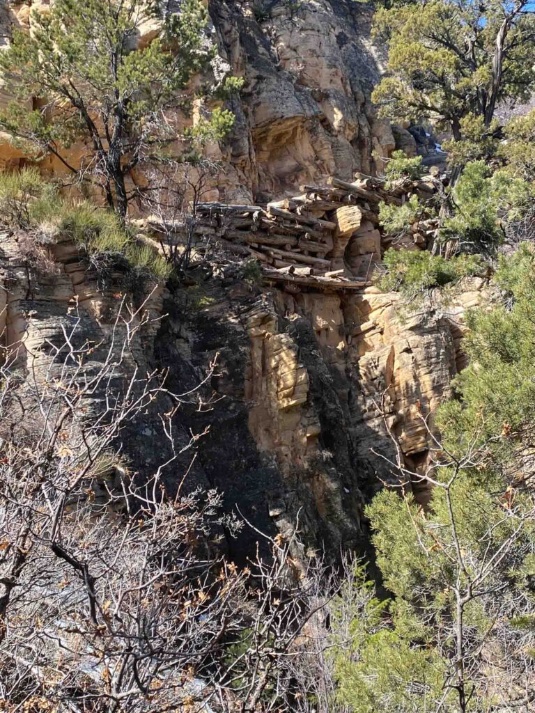 Grand Canyon Grandview Trail