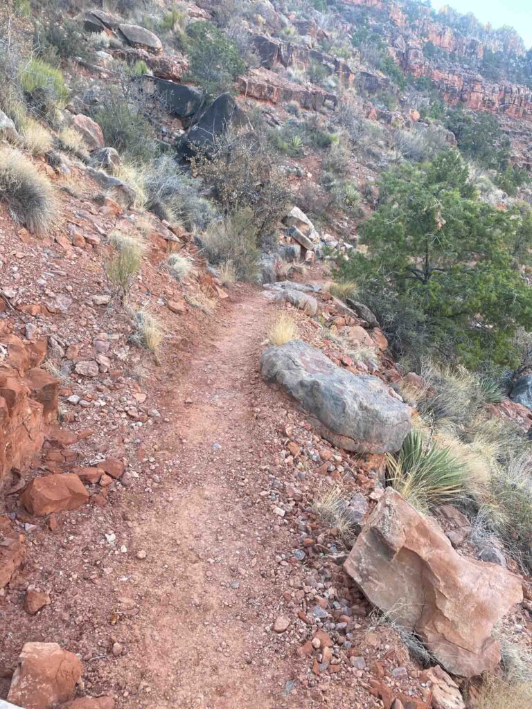 Grand Canyon Grandview Trail