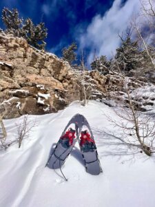 MSR Lightning Ascent snowshoes